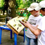 В мире интересного ф.36