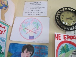 Волшебный мир природы