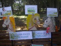 Краеведческий калейдоскоп: Славься Дон, земля родная!