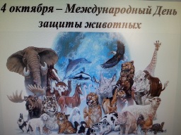 Не обижайте животных!