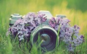 Живая природа