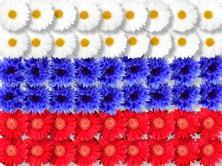 И гордо реет флаг трехцветный