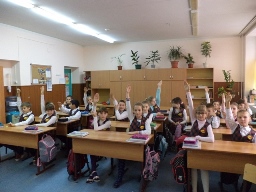 Мои домашние любимцы